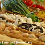 Brauer