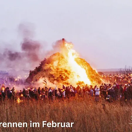 Brauer * Wyk auf Foehr