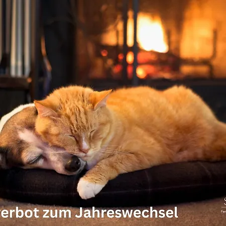 Brauer Wyk auf Foehr