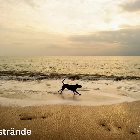 Brauer * Wyk auf Foehr